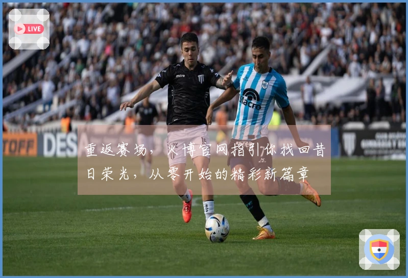 重返赛场，火博官网指引你找回昔日荣光，从零开始的精彩新篇章