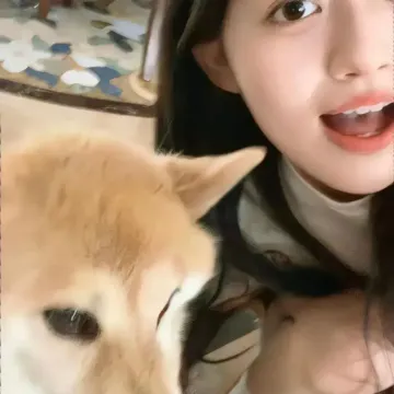 小北